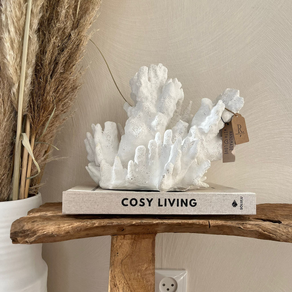 Koraal white groot