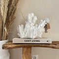 Koraal white groot