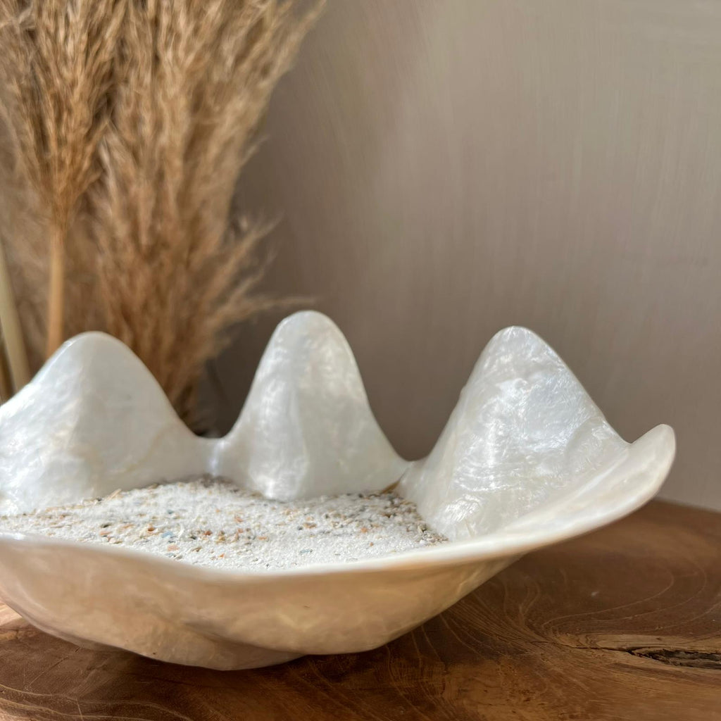 Schelp schaaltje