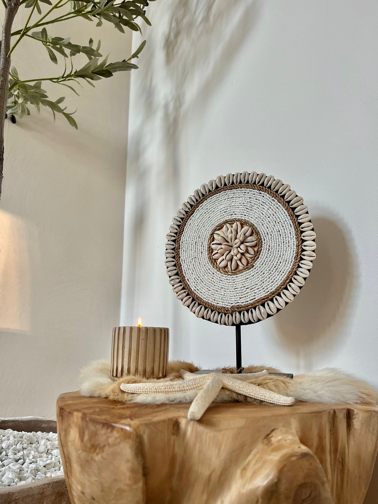 Ornament rond schelp