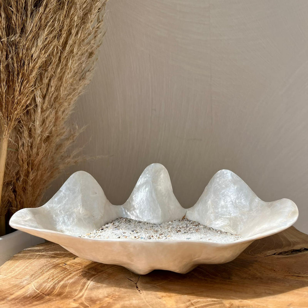 Schelp schaaltje